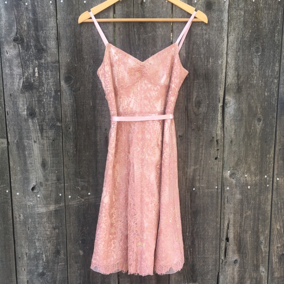 Ann Taylor Dresses & Skirts - Ann Taylor Petite Pink Lace Dress